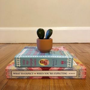 Pregnancy and Baby Sign Language Basics Book